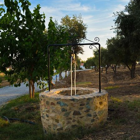 ホテルMelrinitas Turismo Rural セルパ エクステリア 写真
