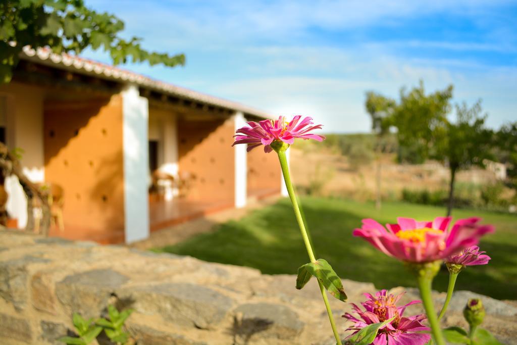 ホテルMelrinitas Turismo Rural セルパ エクステリア 写真